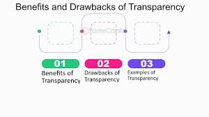 Balancing Privacy and Transparency on Kaspa