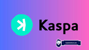 Anonymous Transactions on Kaspa: Is it Possible?