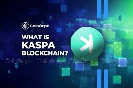 Building on Kaspa vs. Other Blockchain Platforms