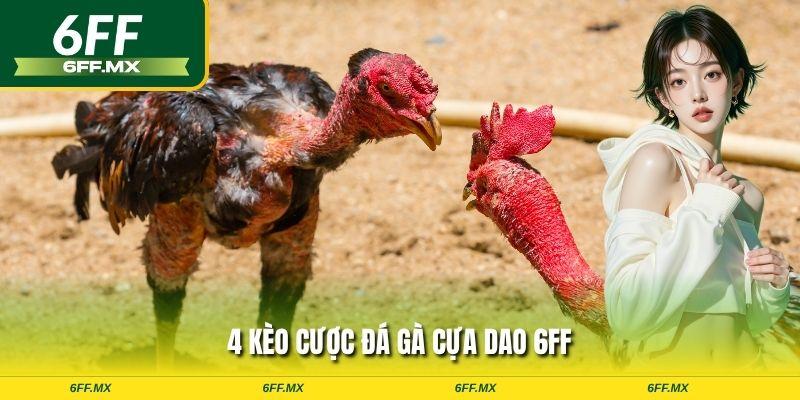 4 kèo cược đá gà cựa dao 6FF